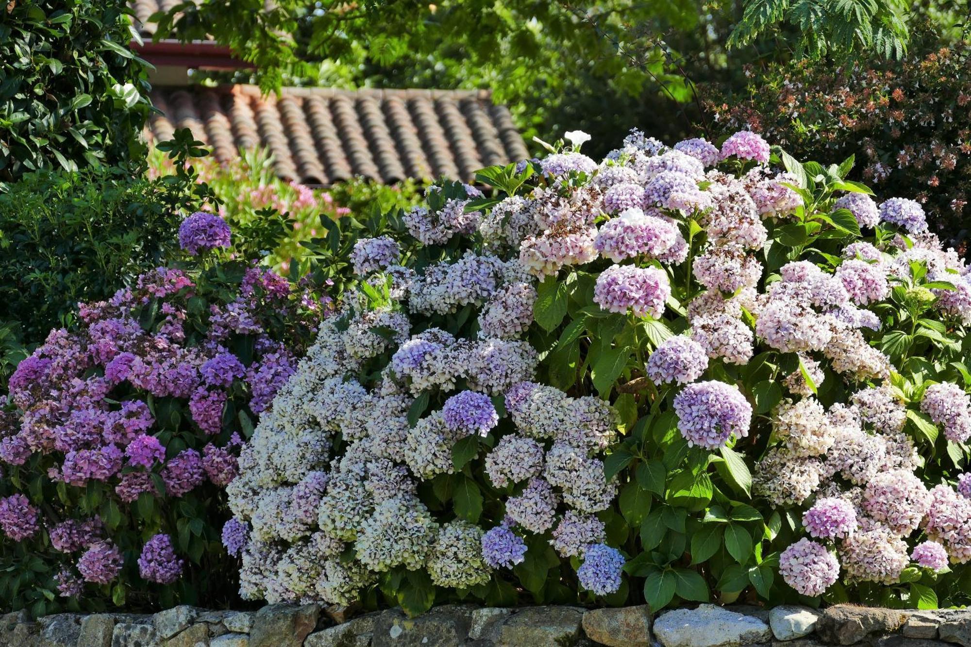 Baskoparadis I Eco-Gites I Calme I Vue I Anes I Jardin I Montagne I Nature Louhossoa エクステリア 写真