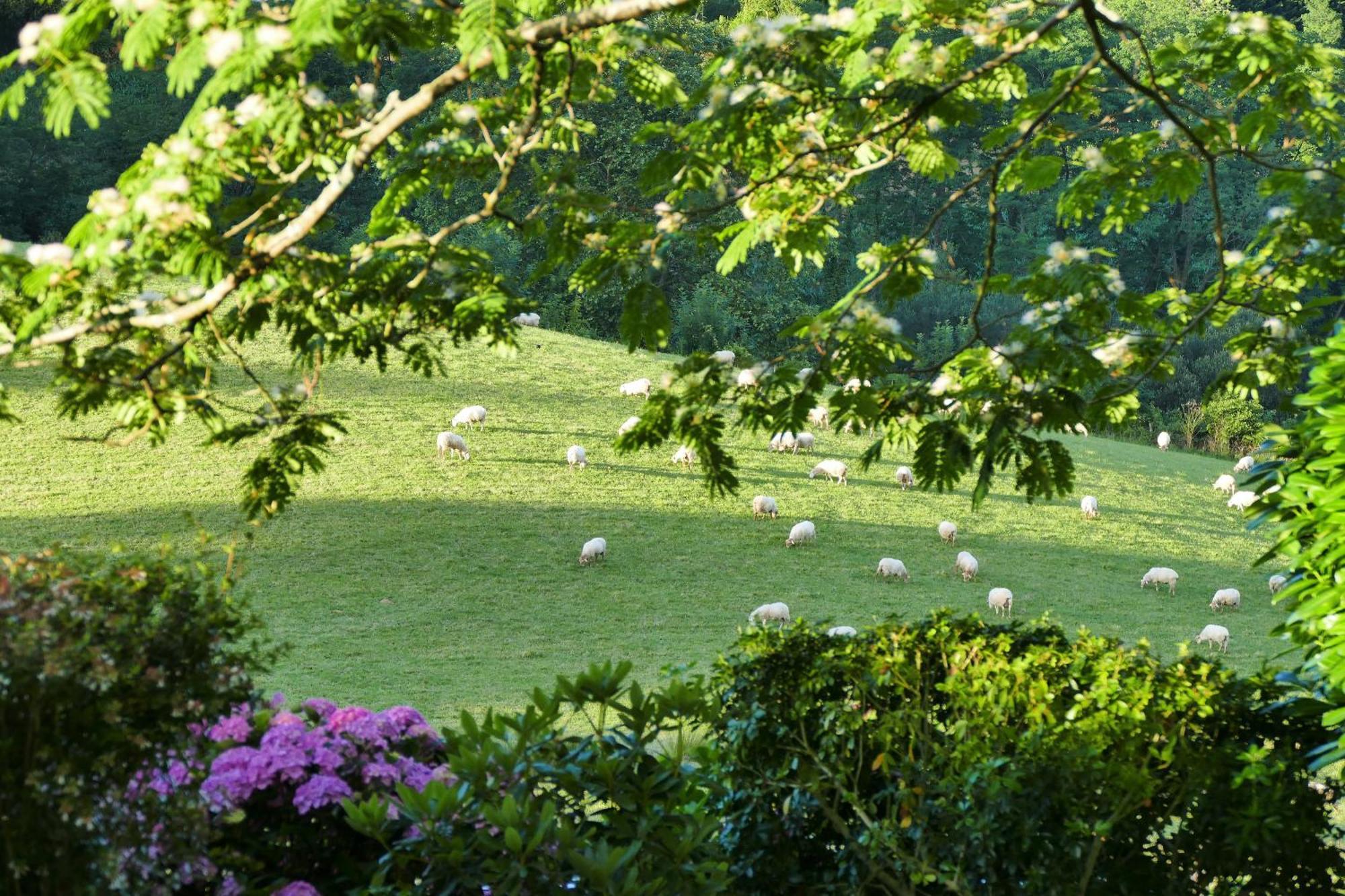 Baskoparadis I Eco-Gites I Calme I Vue I Anes I Jardin I Montagne I Nature Louhossoa エクステリア 写真