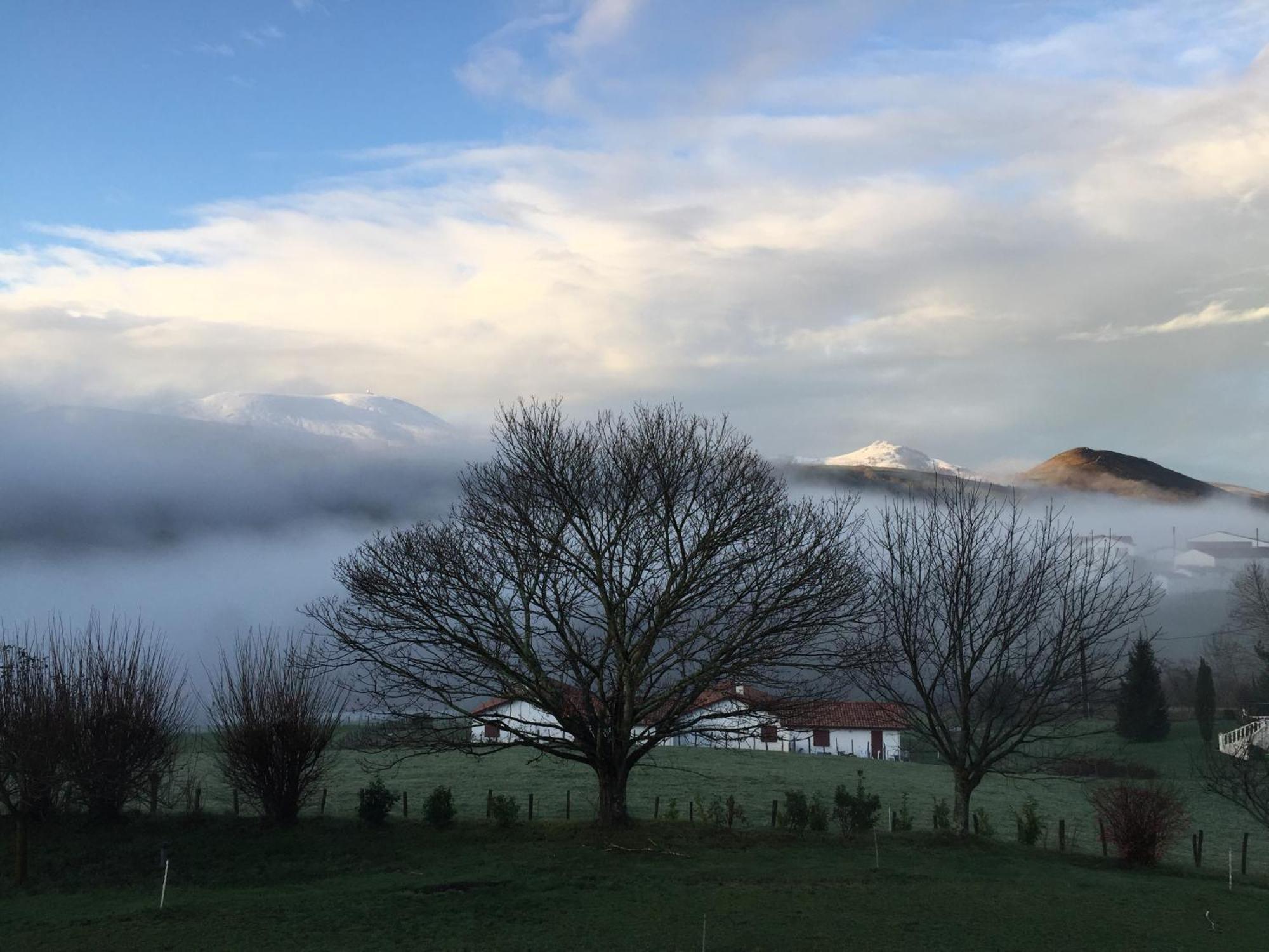 Baskoparadis I Eco-Gites I Calme I Vue I Anes I Jardin I Montagne I Nature Louhossoa エクステリア 写真