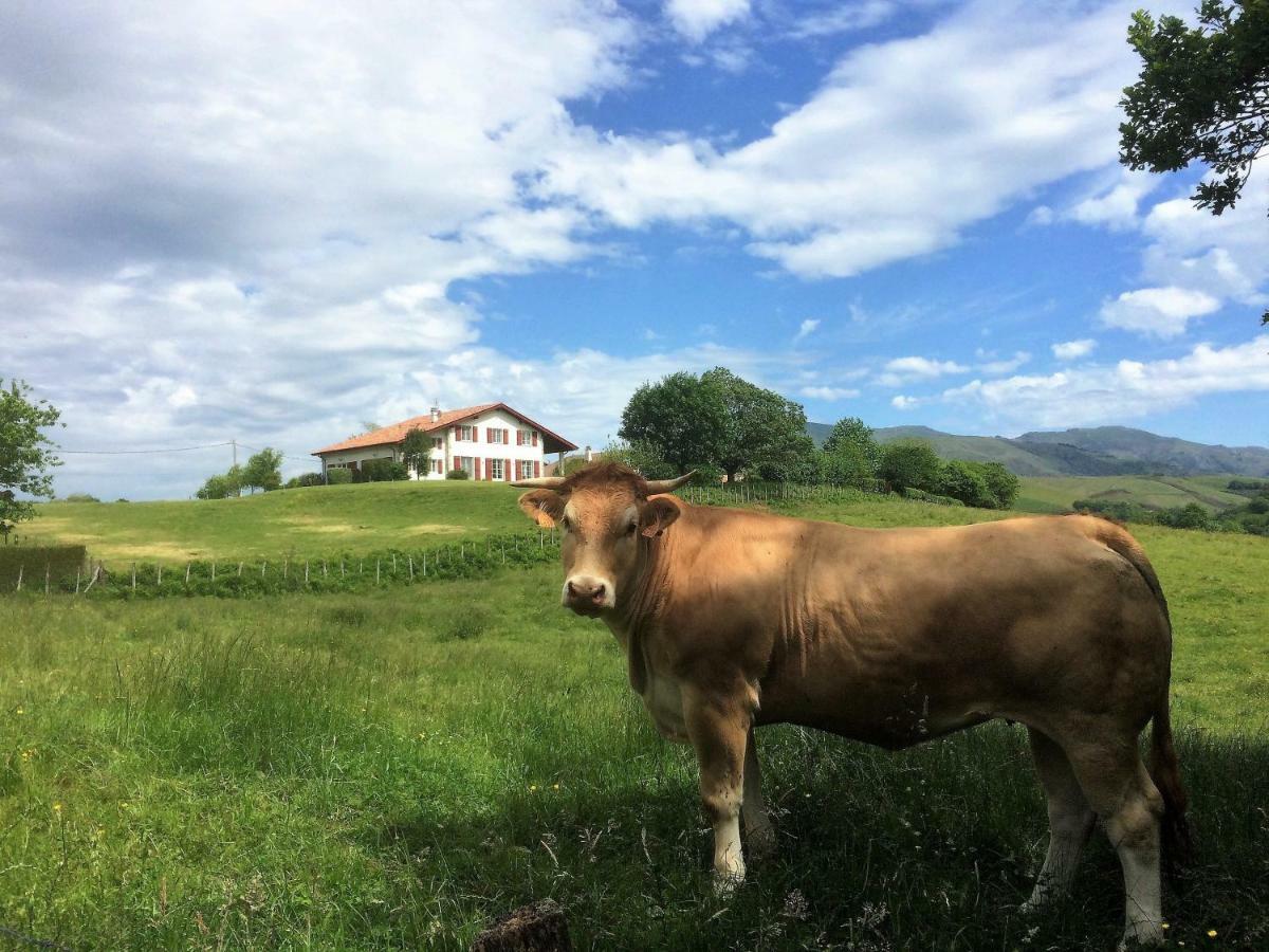Baskoparadis I Eco-Gites I Calme I Vue I Anes I Jardin I Montagne I Nature Louhossoa エクステリア 写真