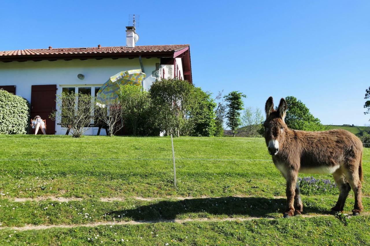 Baskoparadis I Eco-Gites I Calme I Vue I Anes I Jardin I Montagne I Nature Louhossoa エクステリア 写真